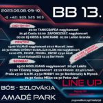 BB fest 2013