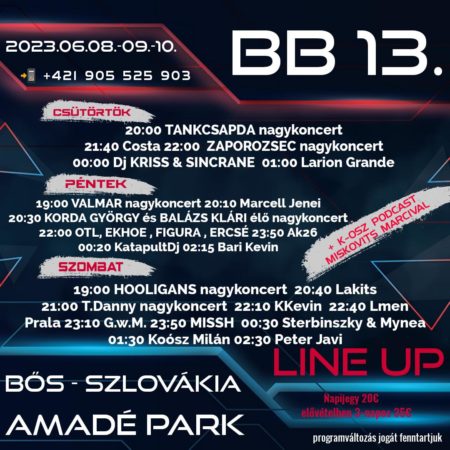 BB fest 2013